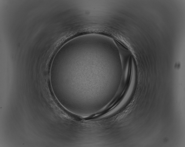 X0000091700673200708241224