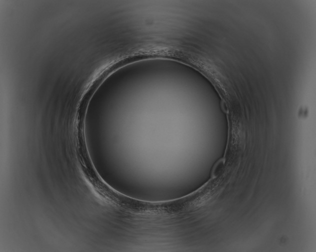 X0000091700674200708241224