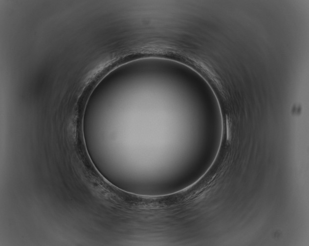 X0000091700675200708241224