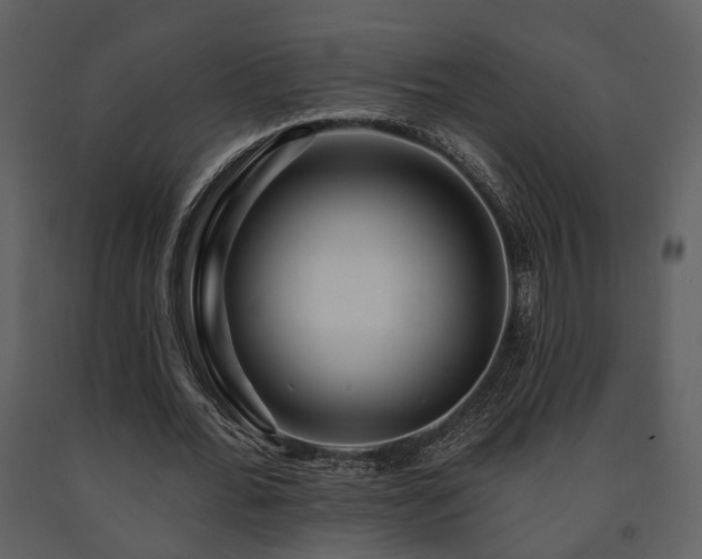 X0000091700676200708241224