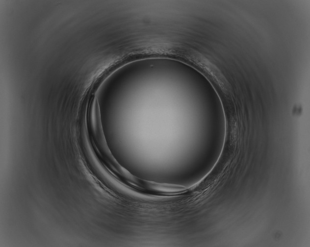 X0000091700677200708241224