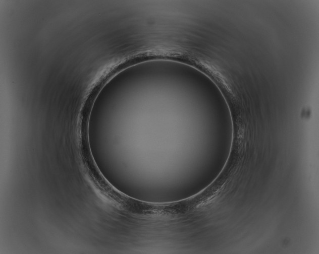 X0000091700678200708241224