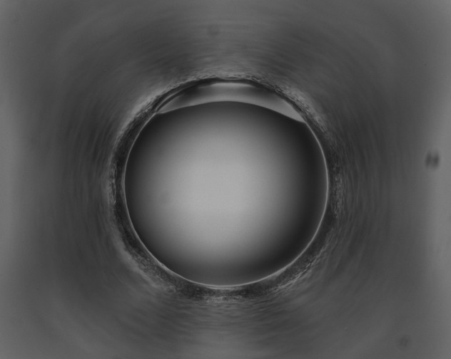 X0000091700680200708241224