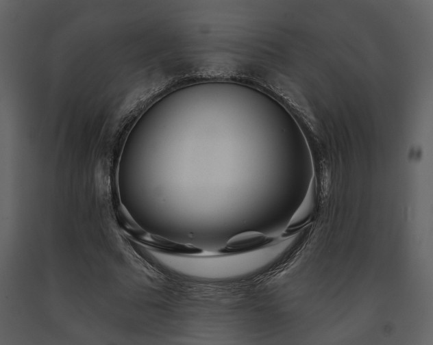 X0000091700681200708241223