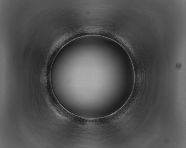 X0000091700682200708241223