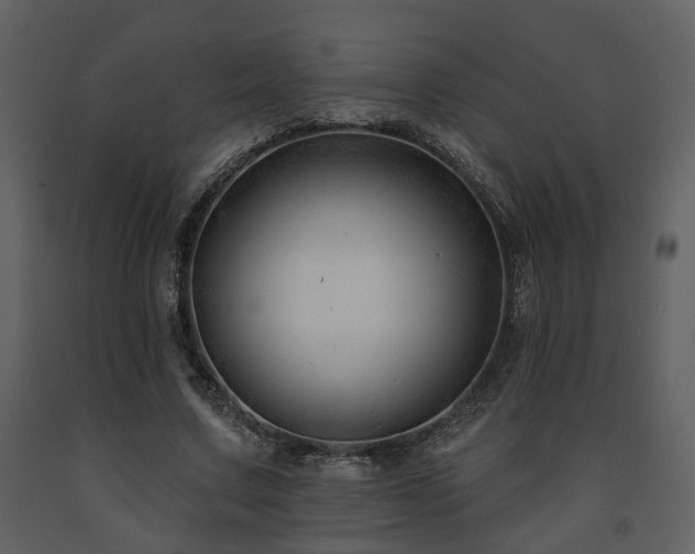 X0000091700683200708241223