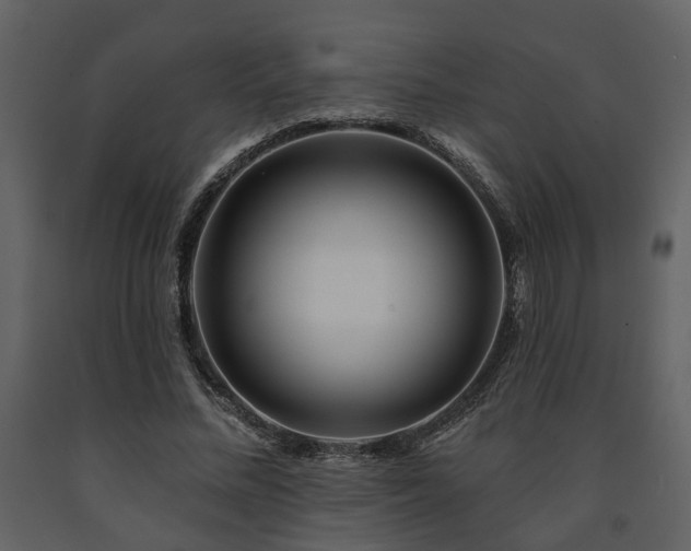 X0000091700684200708241223
