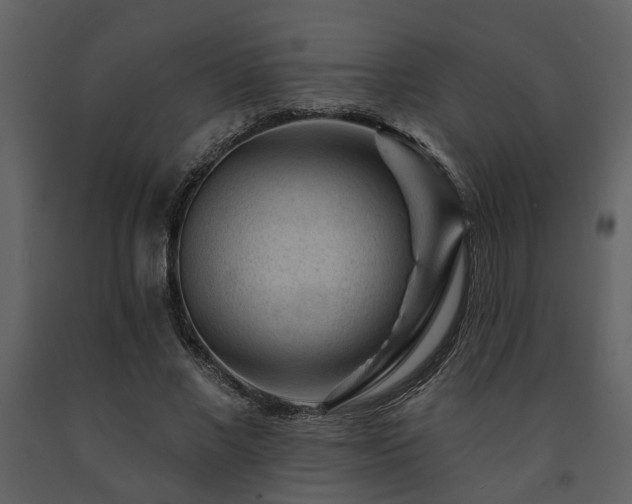 X0000091700685200708241223