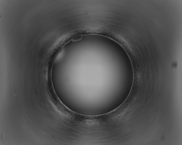 X0000091700686200708241223