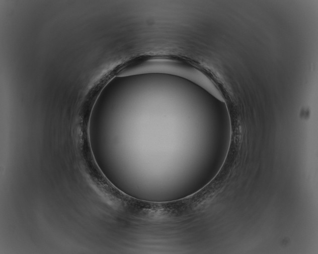 X0000091700688200708241223