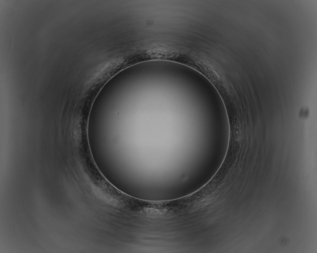 X0000091700690200708241223