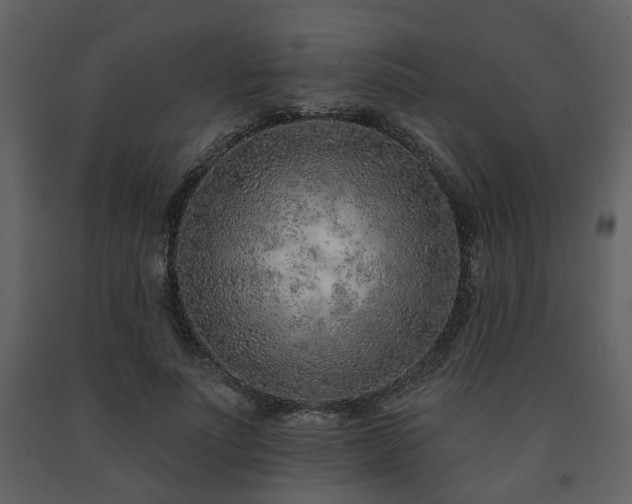 X0000091700691200708241223