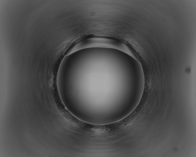 X0000091700693200708241223