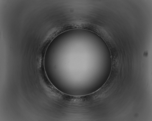 X0000091700694200708241223