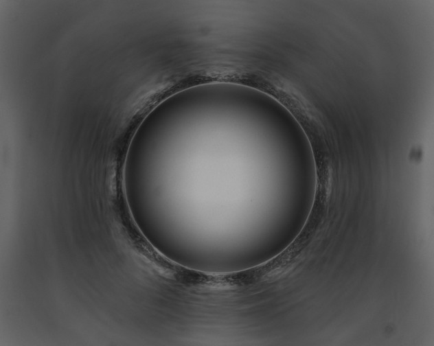 X0000091700696200708241223