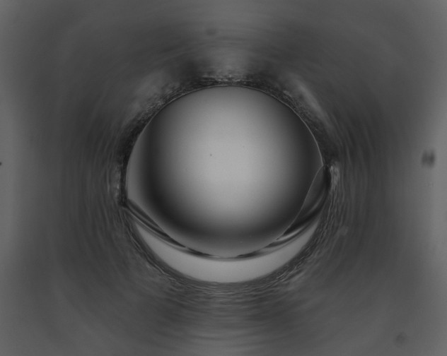 X0000091700697200708241223