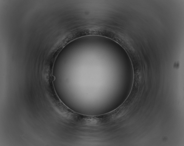 X0000091700698200708241223