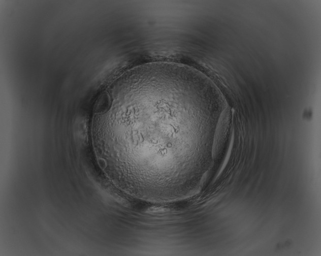 X0000091700699200708241223