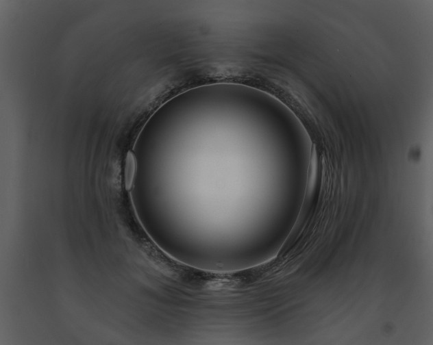 X0000091700700200708241223