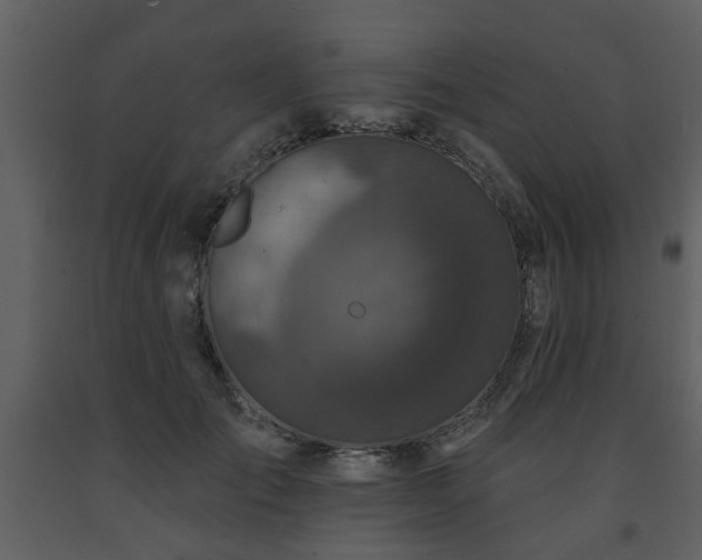 X0000091700701200708241223