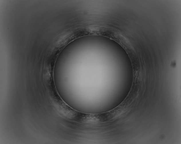 X0000091700702200708241223
