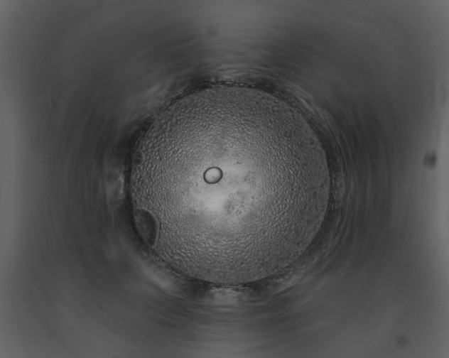 X0000091700703200708241223