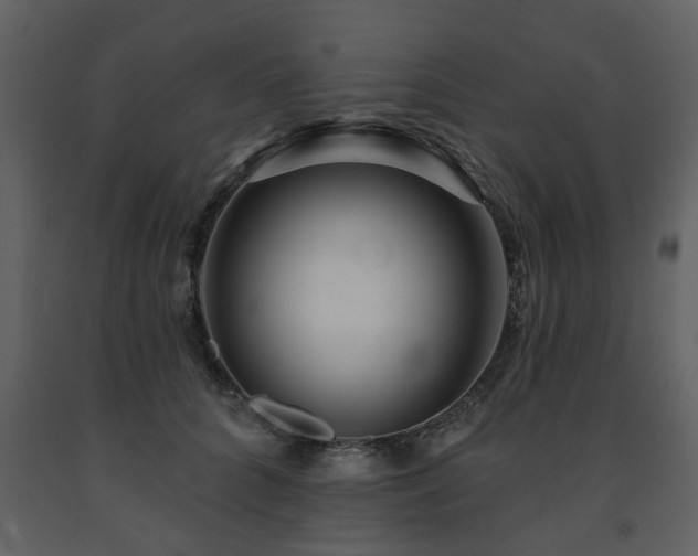 X0000091700704200708241223