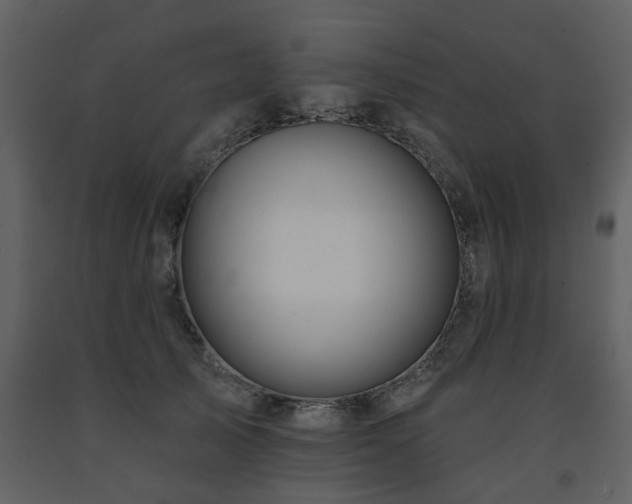 X0000091700705200708241223