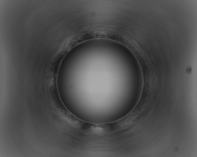 X0000091700706200708241223