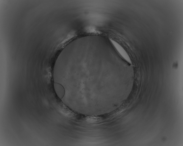 X0000091700707200708241223