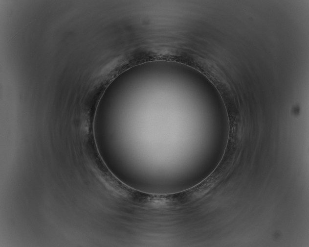 X0000091700710200708241223