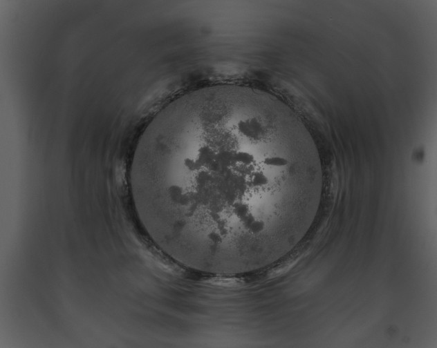 X0000091700711200708241223