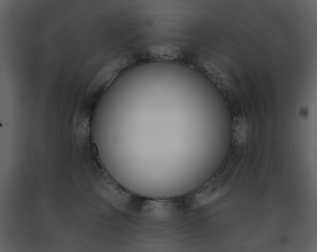 X0000091700713200708241223