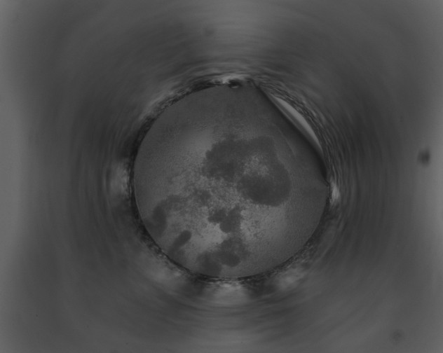 X0000091700715200708241223