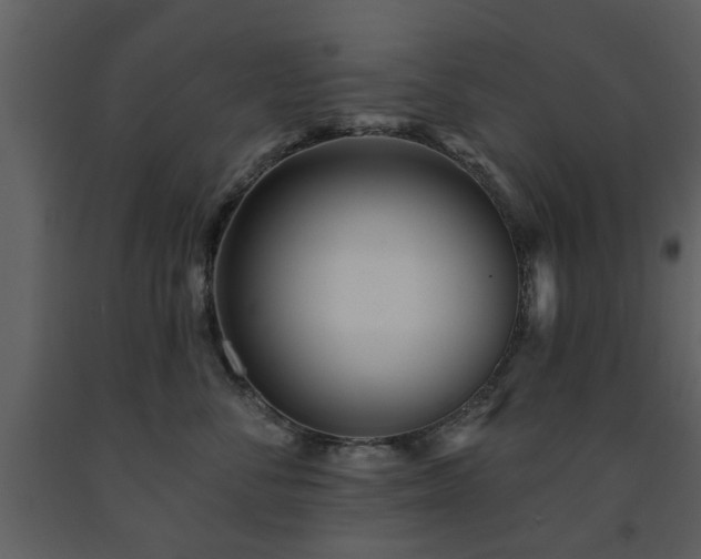 X0000091700716200708241223