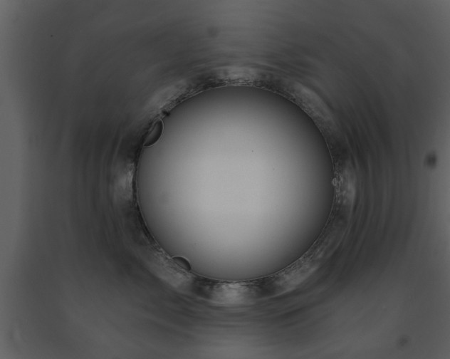 X0000091700717200708241223