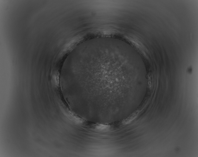 X0000091700718200708241223
