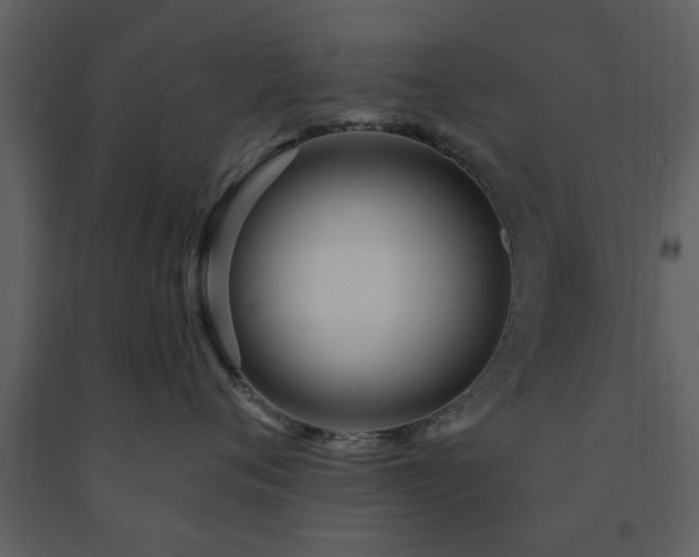 X0000091700720200708241223