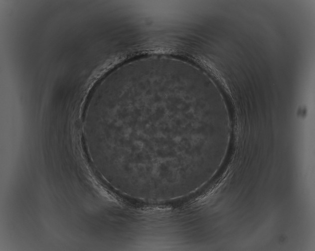 X0000091700721200708241222