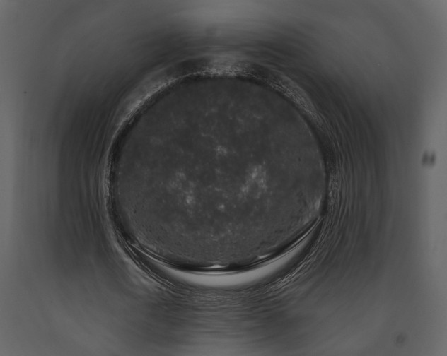 X0000091700722200708241222
