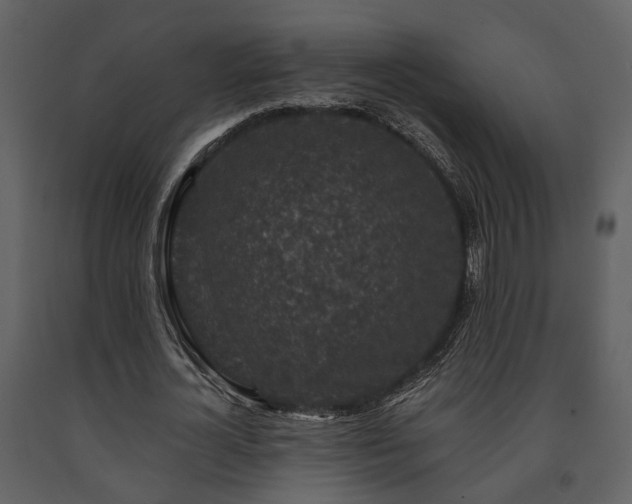 X0000091700724200708241222