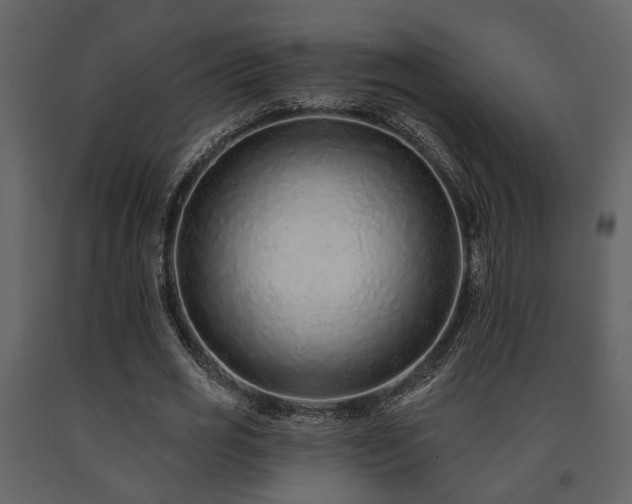 X0000091700725200708241222