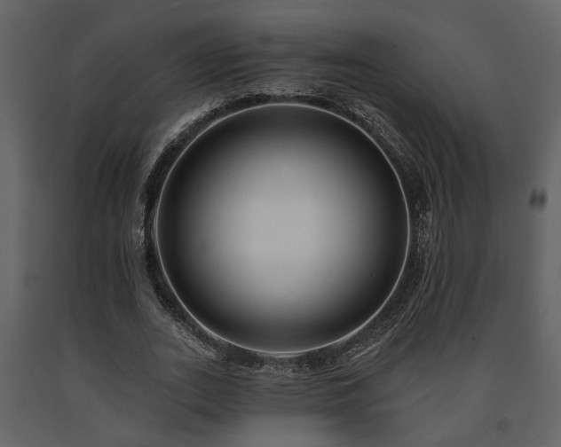 X0000091700727200708241222