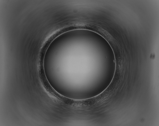 X0000091700728200708241222