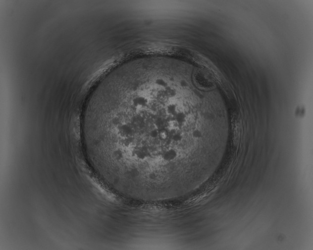 X0000091700729200708241222