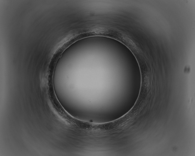 X0000091700730200708241222