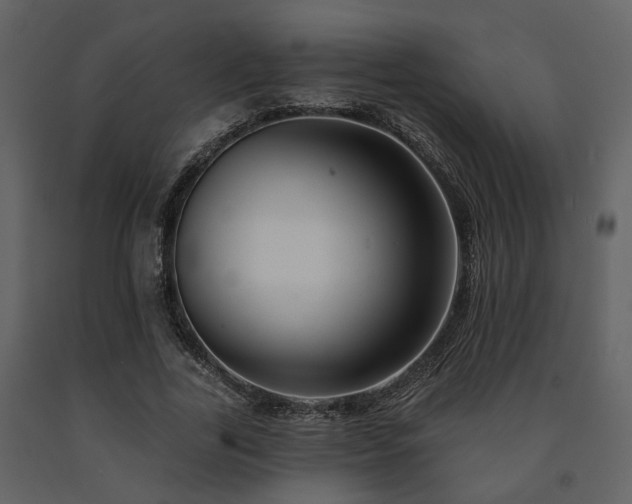 X0000091700731200708241222
