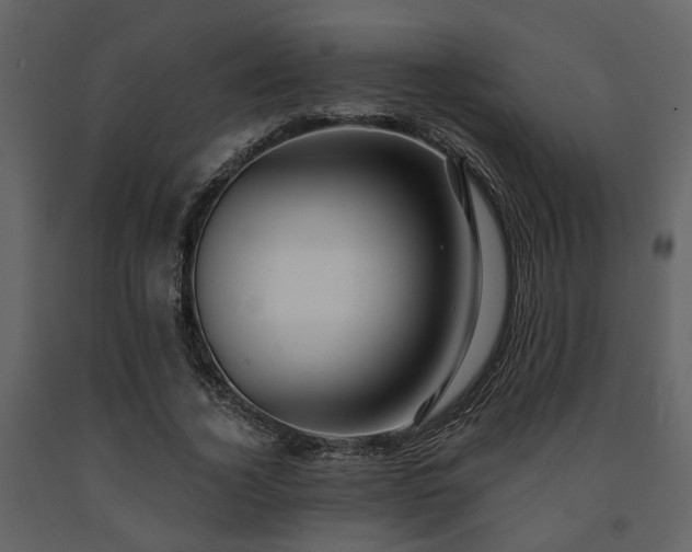 X0000091700732200708241222