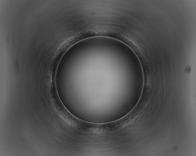 X0000091700733200708241222