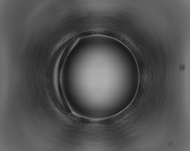 X0000091700734200708241222